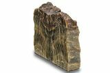 Polished Petrified Wood Bookends - Washington #258313-1